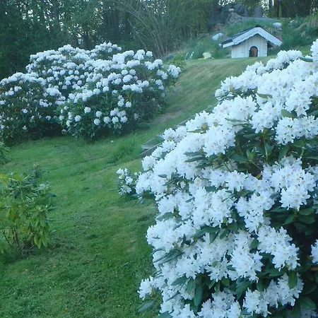 Lägenhet Fjordferie